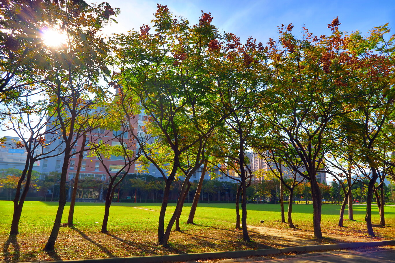 Come explore your favorite corner on the campus.